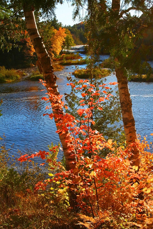 Michigan's Upper Peninsula in fall